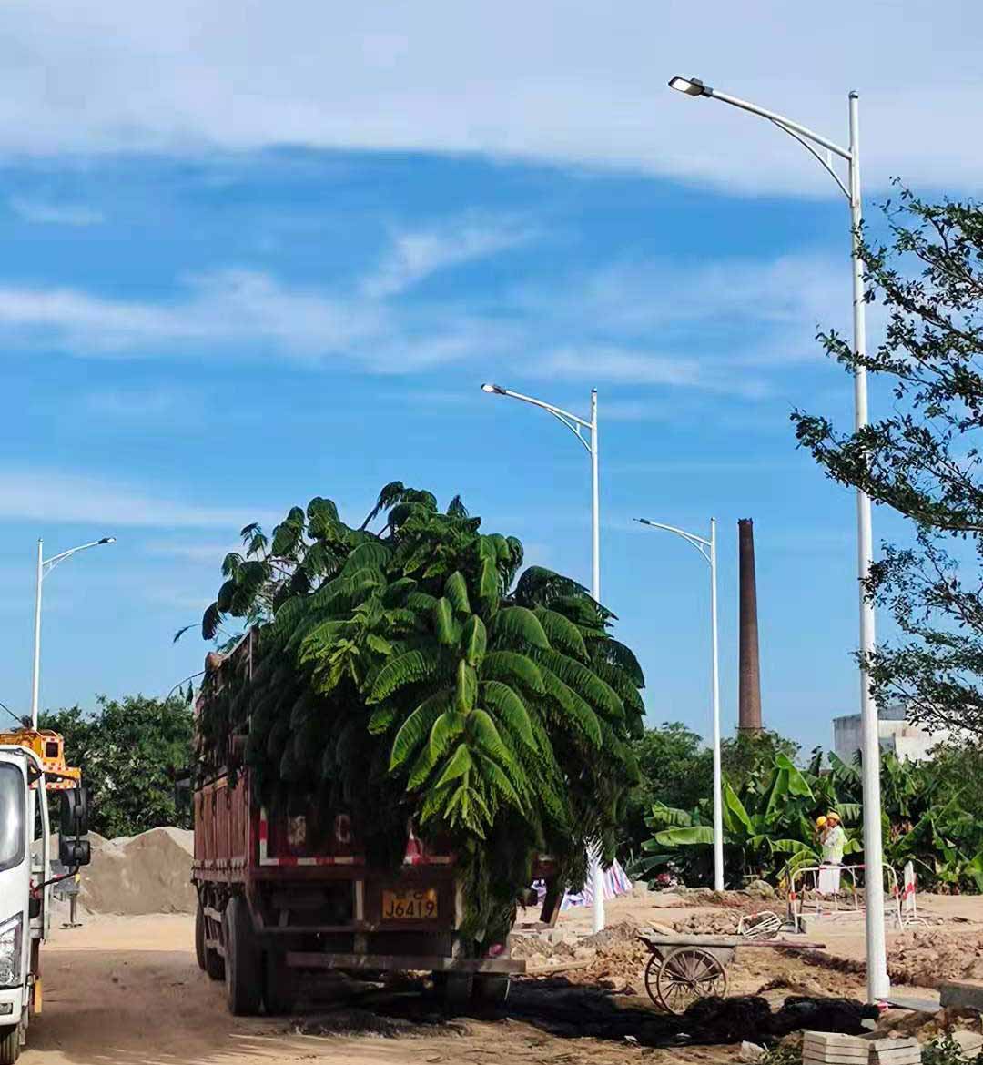 开云官方网址助力东莞洪梅万科星城道路亮化工程